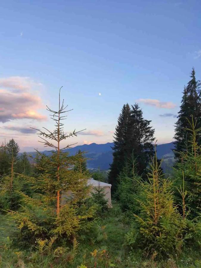 Eco Glamping - Carpathians. Retreat Hub Dzin Space Verkhovyna Exterior photo