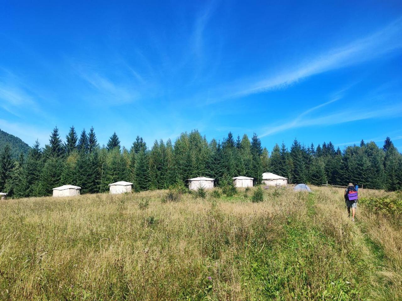 Eco Glamping - Carpathians. Retreat Hub Dzin Space Verkhovyna Exterior photo